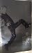 Stars on Ice 2000-2001 - Scott Hamilton Commemorative Issue by Scott  Hamilton