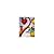 Microsoft Office 2010 by Pasewark/Pasewark