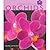 A Pocket Guide To Orchids