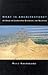 What is architecture?: An essay on landscapes, buildings, and machines