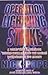 Operation Lightning Strike by Nick Pope (2001-10-01)