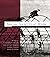 Social Identity at Work: Developing Theory for Organizational Practice