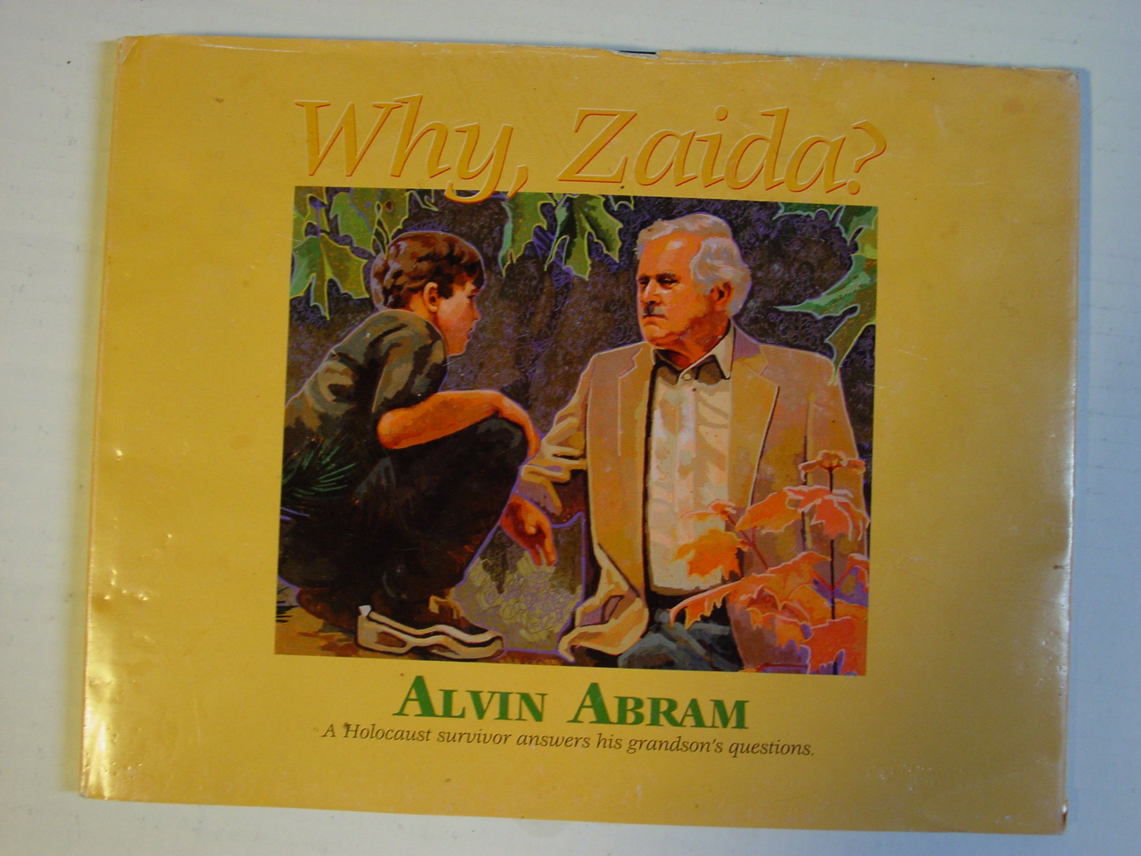 Why Zaida: A Holocaust Survivor Answers His Grandson's Questions (Hardcover)