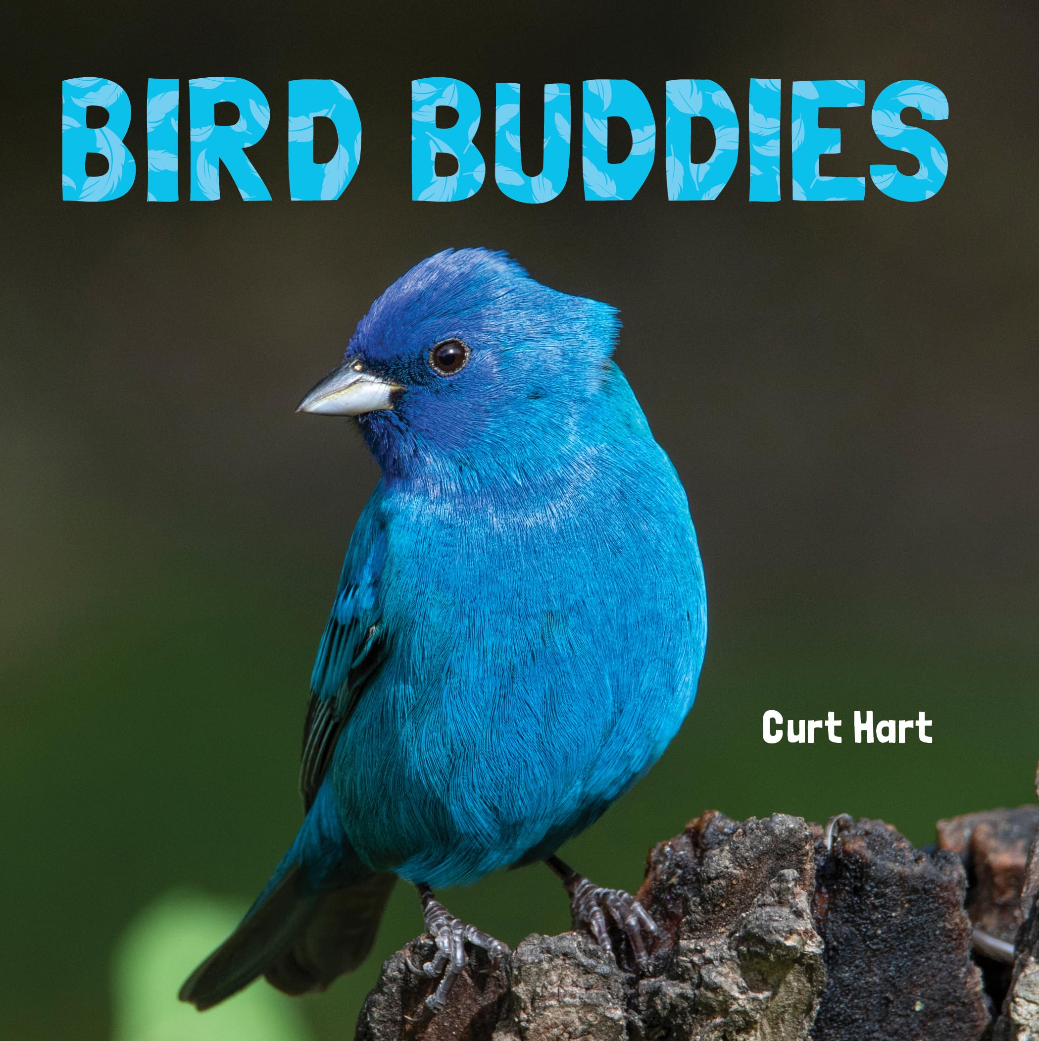 Bird Buddies (Animal Lovers)