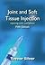 Joint and Soft Tissue Injection: Injecting With Confidence 5th (fifth) Edition by Silver, Trevor published by Radcliffe Medical PR (2011)