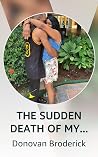 THE SUDDEN DEATH OF MY SOUL-MATE