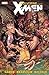 Wolverine and the X-Men, Vol. 2 by Aaron, Jason [paperback(2013/3/5)]