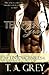 Tempting Gray (The Untouchables) (Volume 2) by T. A. Grey (2013-11-21)