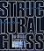 Structural Glass by Hugh Du...