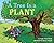 A Tree Is a Plant (Let's-Read-and-Find-Out Science)