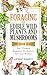 Foraging for Edible Wild Plants and Mushrooms by Anthony Barrett