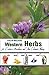 Western Herbs for Eastern Meridians and Five Element Theory - Color Edition