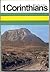 I Corinthians (New Testament Commentaries)