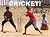 CRICKET!