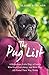 The Pug List: A Ridiculous Little Dog, a Family Who Lost Everything, and How They All Found Their Way Home by Alison Hodgson (2016-04-05)