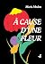 À cause d'une fleur