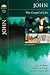 John: The Gospel of Life (Bringing the Bible to Life) by Gary M. Burge (2008-08-10)
