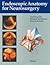 Endoscopic Anatomy for Neurosurgery