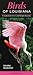 Birds of Louisiana: A Guide...