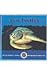 Sea Turtles (Dominie Marine Life Set 2)