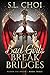 Bad Girls Break Bridges (Blood Fae Druid #3)
