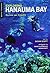 Exploring Hanauma Bay (Latitude 20 Books (Paperback)) by Susan Scott (2013-05-31)