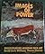 Images of Power by James David Lewis-Williams