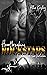 Ein Groupie zum Verlieben (Heartbreaking Rockstars #1)