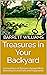 Treasures in Your Backyard: Uncovering Lost Treasures through Metal Detecting in Local Parks and Playgrounds (Treasures Beneath: Unveiling the World of Metal Detecting)