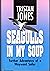 Seagulls in My Soup: Further Adventures of a Wayward Sailor