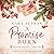 A Promise Born (Ohio Brides #2)