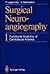 Surgical Neuroangiography: Functional Anatomy of Craniofacial Arteries
