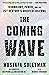 The Coming Wave: Technology, Power, and the Twenty-first Century's Greatest Dilemma