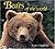 Bears of the World (Worldlife Discovery Guides) by Dr. Lance Craighead (2003-05-15)