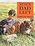 Read Write Inc. Comprehension: Since Dad Left by Caroline Binch (2000-03-02)