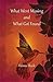 What Went Missing and What Got Found by Fatima Shaik (2015-08-29)