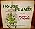 House Plants for the Purple Thumb