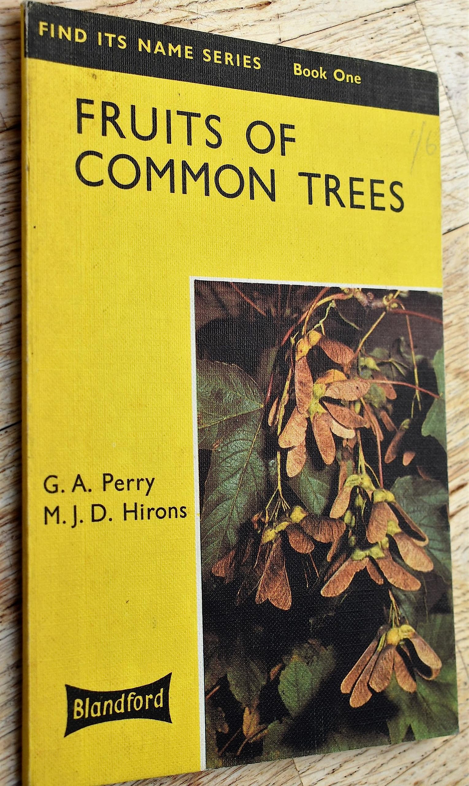 Fruits of Common Trees (FIND ITS NAME)