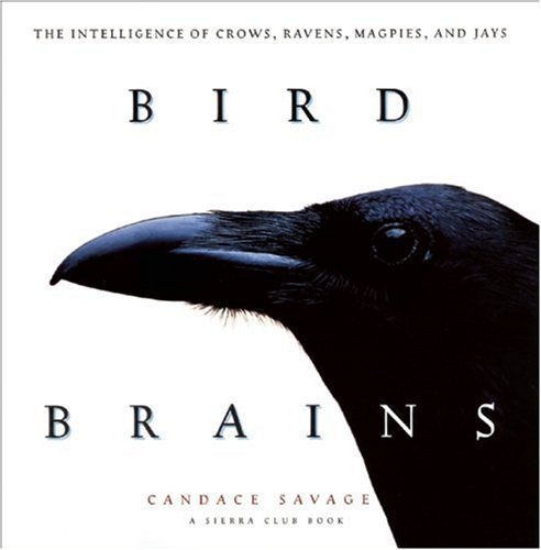 Bird Brains: The Intelligence of Crows, Ravens, Magpies, and Jays by Candace Sherk Savage (1996-11-01)