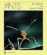 The Ants by Bert ...