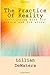 The Practice Of Reality by Lillian DeWaters (2015-02-14)