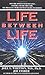 By Joel Whitten Life Between Life [Mass Market Paperback]