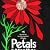 Petals on the Wind