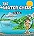 The Water Cycle for Kids: Learn what its stages are and what they consist of (Educational Books for Kids)