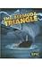 The Bermuda Triangle (Unexplained Mysteries) by McClellan, Ray (2014) Library Binding