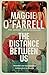 The Distance Between Us by Maggie O'Farrell