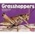 Grasshoppers