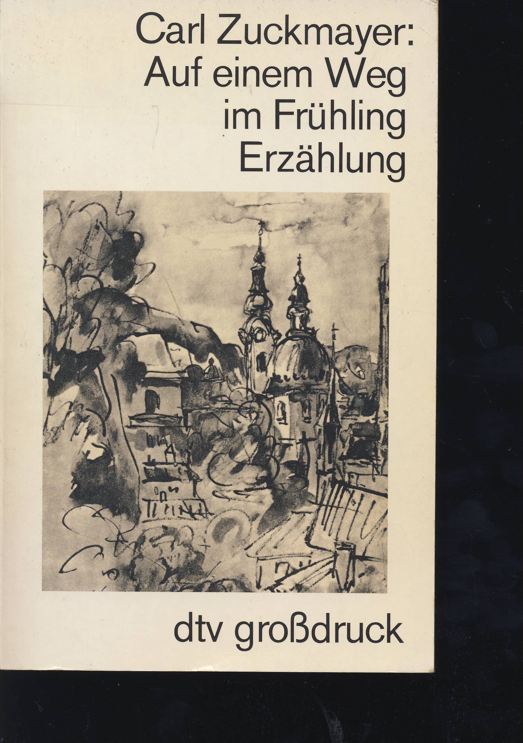Auf einem Weg im Frühling. Erzählung. Großdruck. (Perfect Paperback)