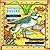 [Seashore (One Small Square)] [By: Silver, Donald] [March, 1997]