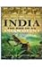 Rave Media India: The Rise Of An Asian Giant [Hardcover] [Jan 01, 2008] Dietmar Rothemund